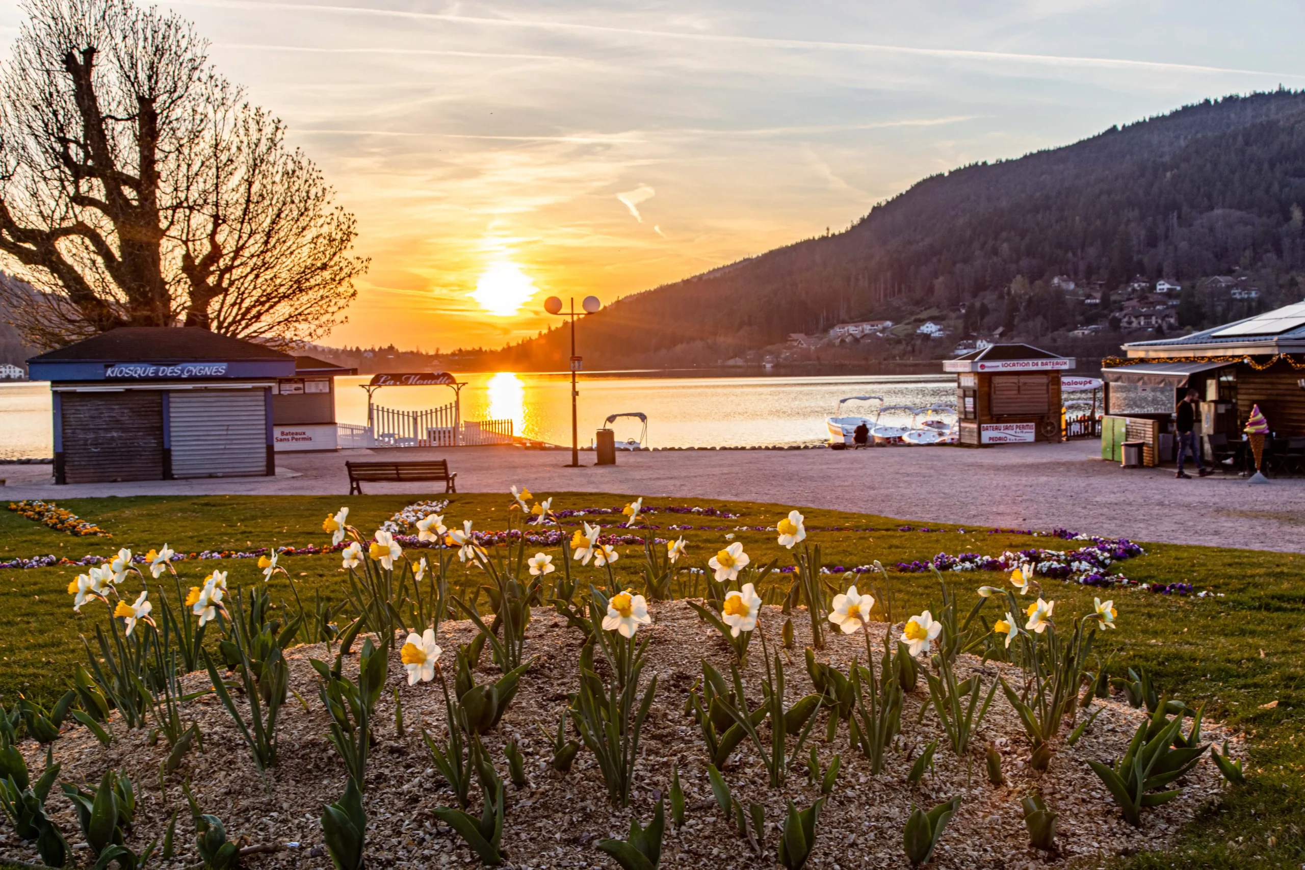 2022-04-15 (13)-HDR