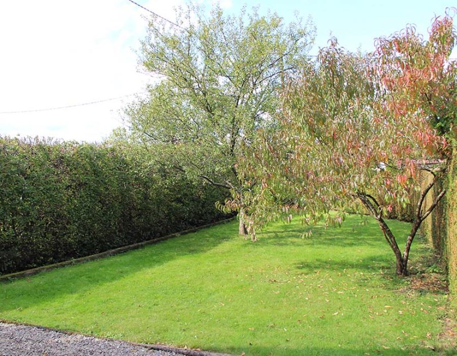 Domaine des Iris (18) copie